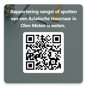 qr-code-azh-melden-olen