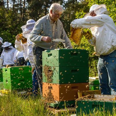 Bijenvrienden Bij Dennis